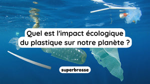 Quel est l'impact écologique du plastique sur notre planète ?